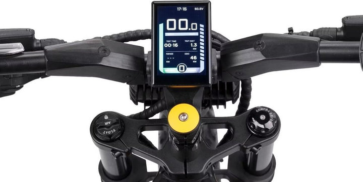 VSETT Eagle Swiss 500W Edition (Vorführmodell)